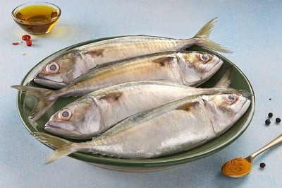 Indian Mackerel healthy affordable